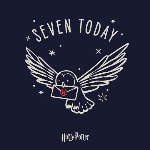 Picture of 7 TODAY HARRY POTTER BIRTHDAY CARD